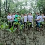 BATIQA Hotel Darmo Tanam Mangrove, Selamatkan Lingkungan